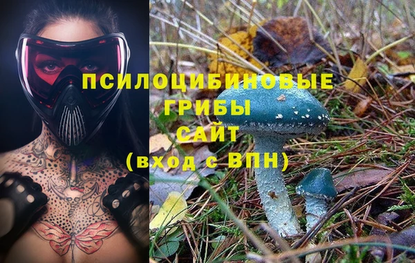 MDMA Premium VHQ Белокуриха