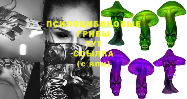 соль ск Белоозёрский
